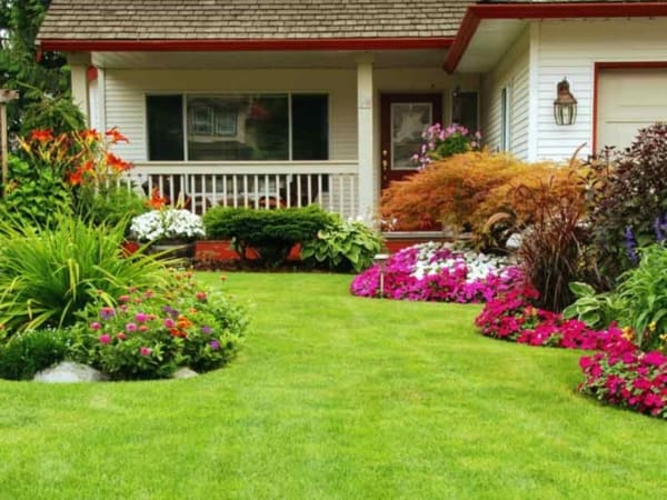 Cách trồng và chăm sóc cỏ sân vườn biệt thự luôn xanh tốt quanh năm 21 Cách trồng và chăm sóc cỏ sân vươn luôn tươi tốt