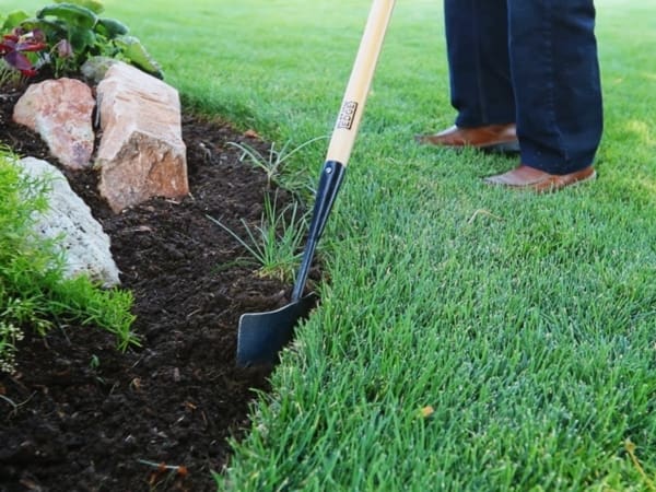 Cách trồng và chăm sóc cỏ sân vườn biệt thự luôn xanh tốt quanh năm 24 cach trong va cham soc co san vuon biet thu luon xanh tot quanh nam 4